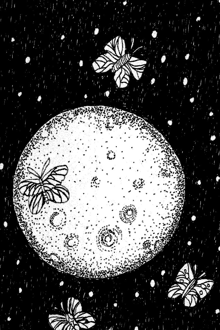 responsibility butterfly moon