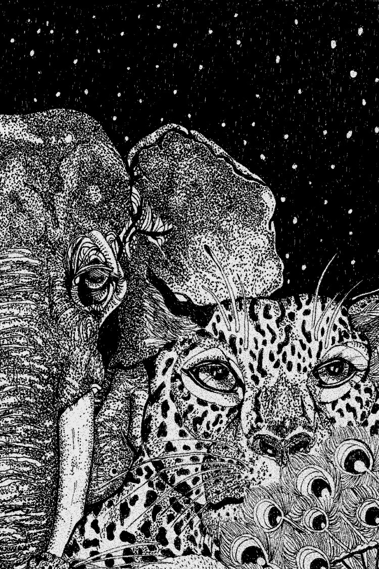 responsibility Elephant and Leopard