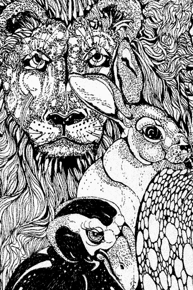 responsibility lion eyes