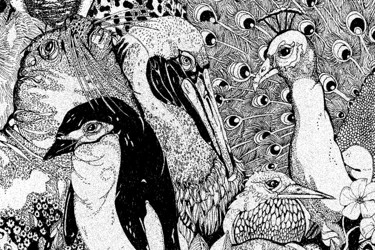 responsibility Walrus Penguin